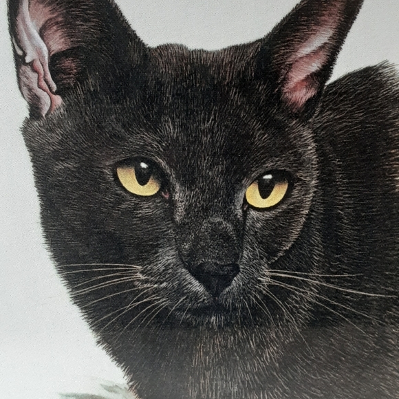 Sold Out Not For Sale - Picture 3 of 8